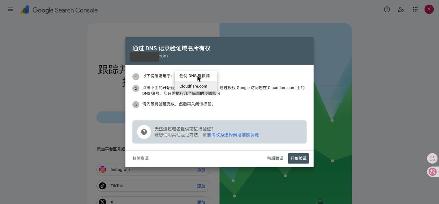 Search Console 的 DNS 验证